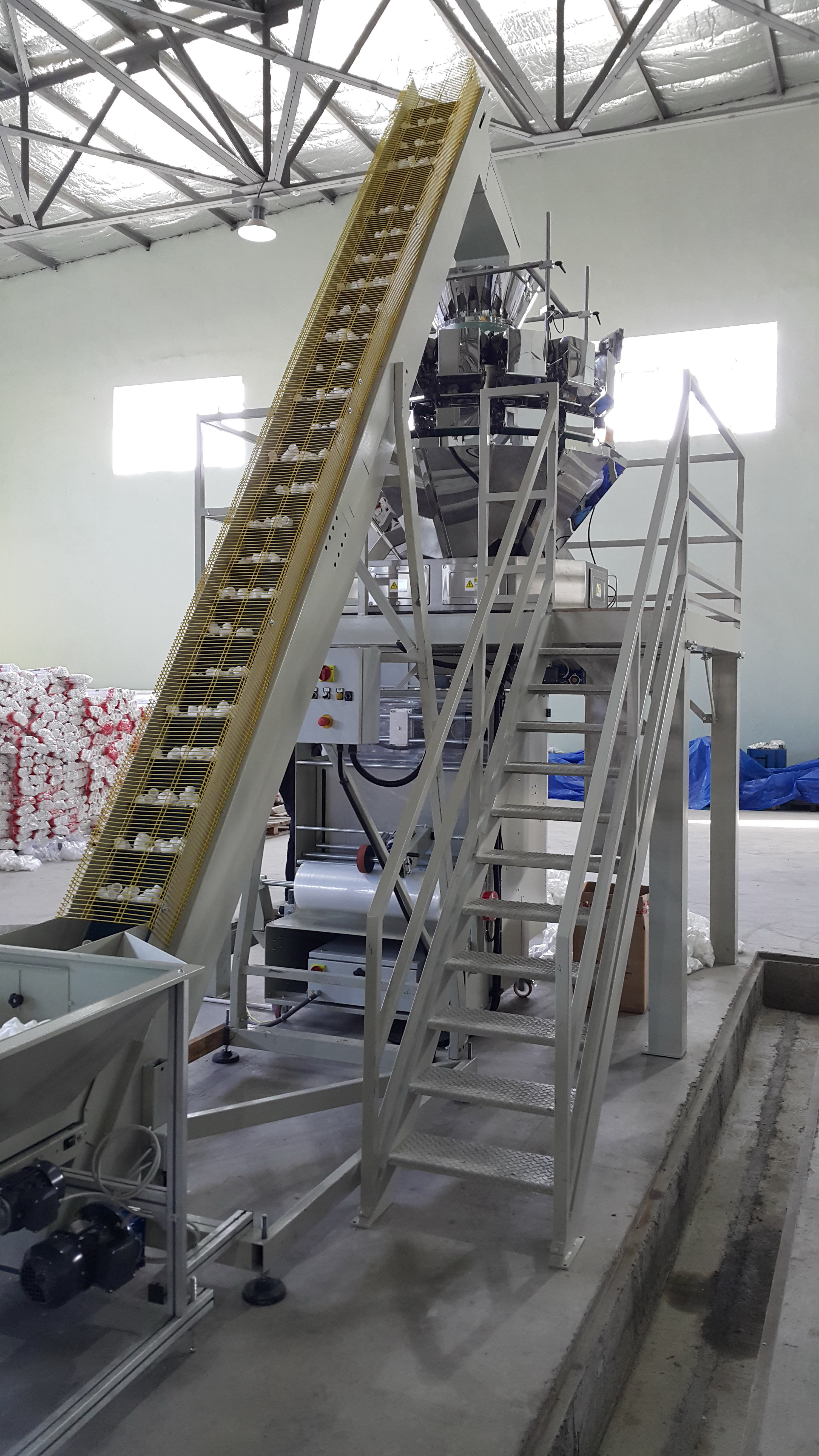 GFT Automazioni Weighing, Packaging and Boxing Line - Packaging Machines - 5