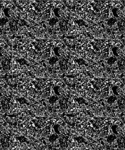 Dimas PFS Paste Graphite - Paste Graphite - 2