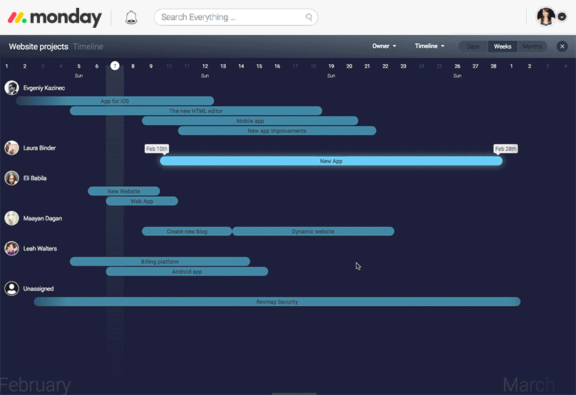 project timeline