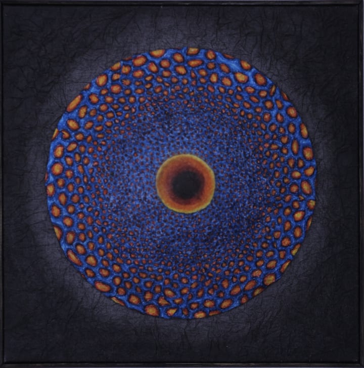 portfolio/natures-geometriques/IMG_3538_frquox photo