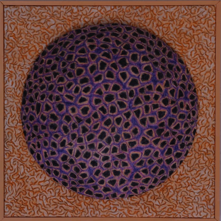portfolio/natures-geometriques/IMG_3477_ubzn91 photo