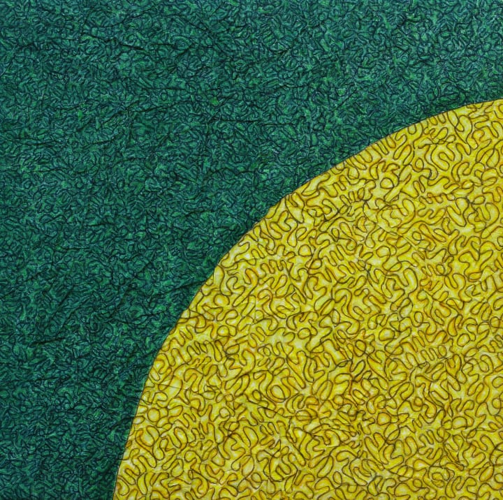 portfolio/natures-geometriques/IMG_2228_wrt9dm photo