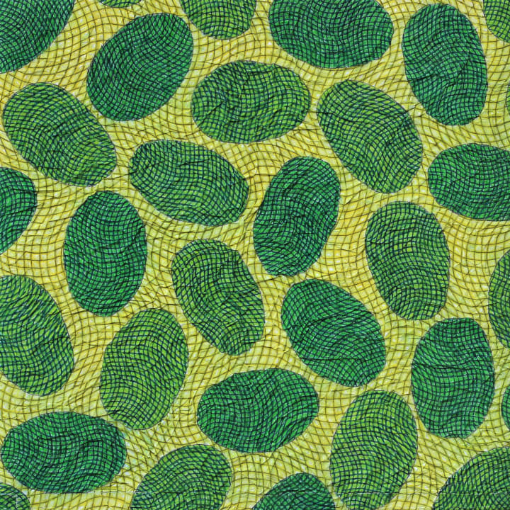 portfolio/natures-geometriques/IMG_2306_npff6d photo