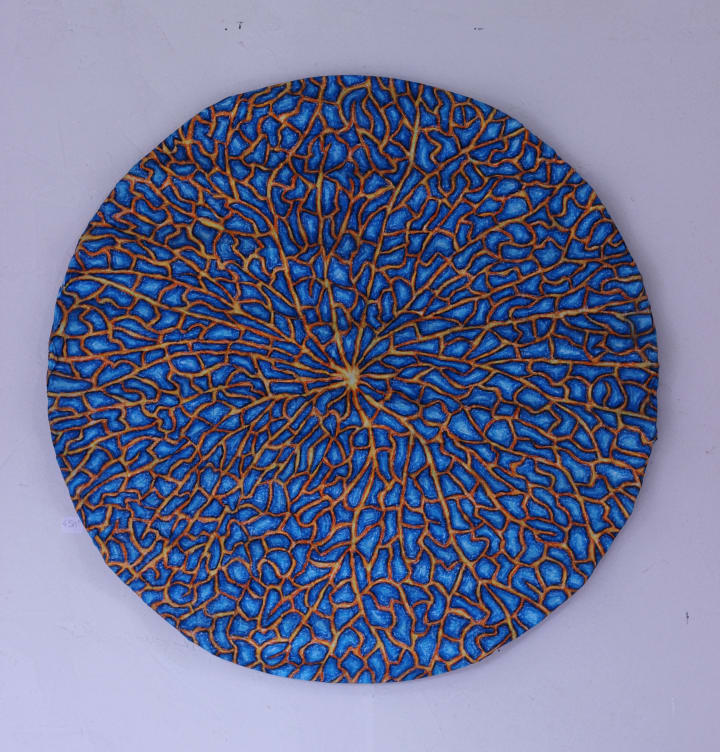 portfolio/natures-geometriques/IMG_30790_uhynxe photo