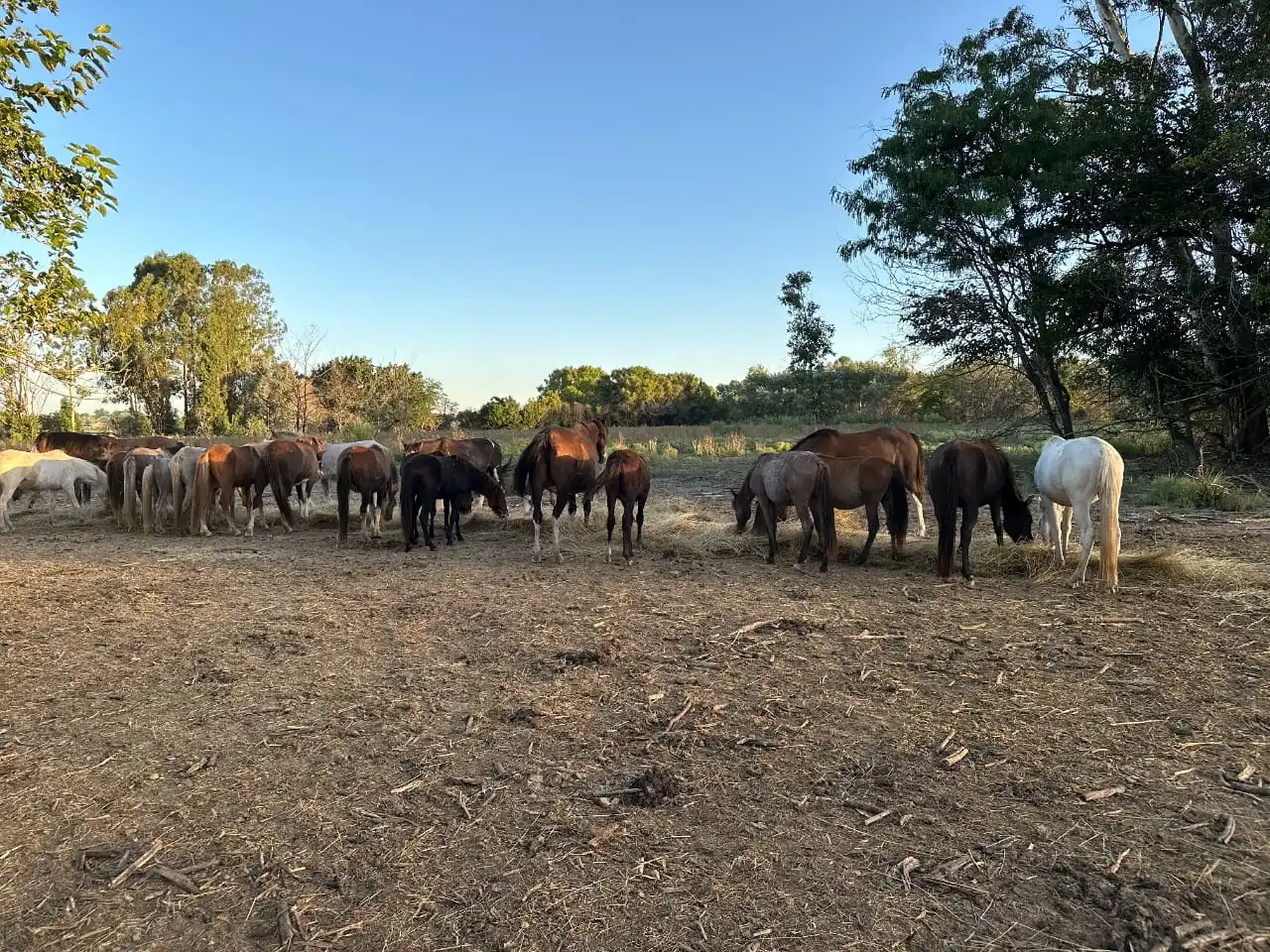 El rescate más grande de nuestra historia