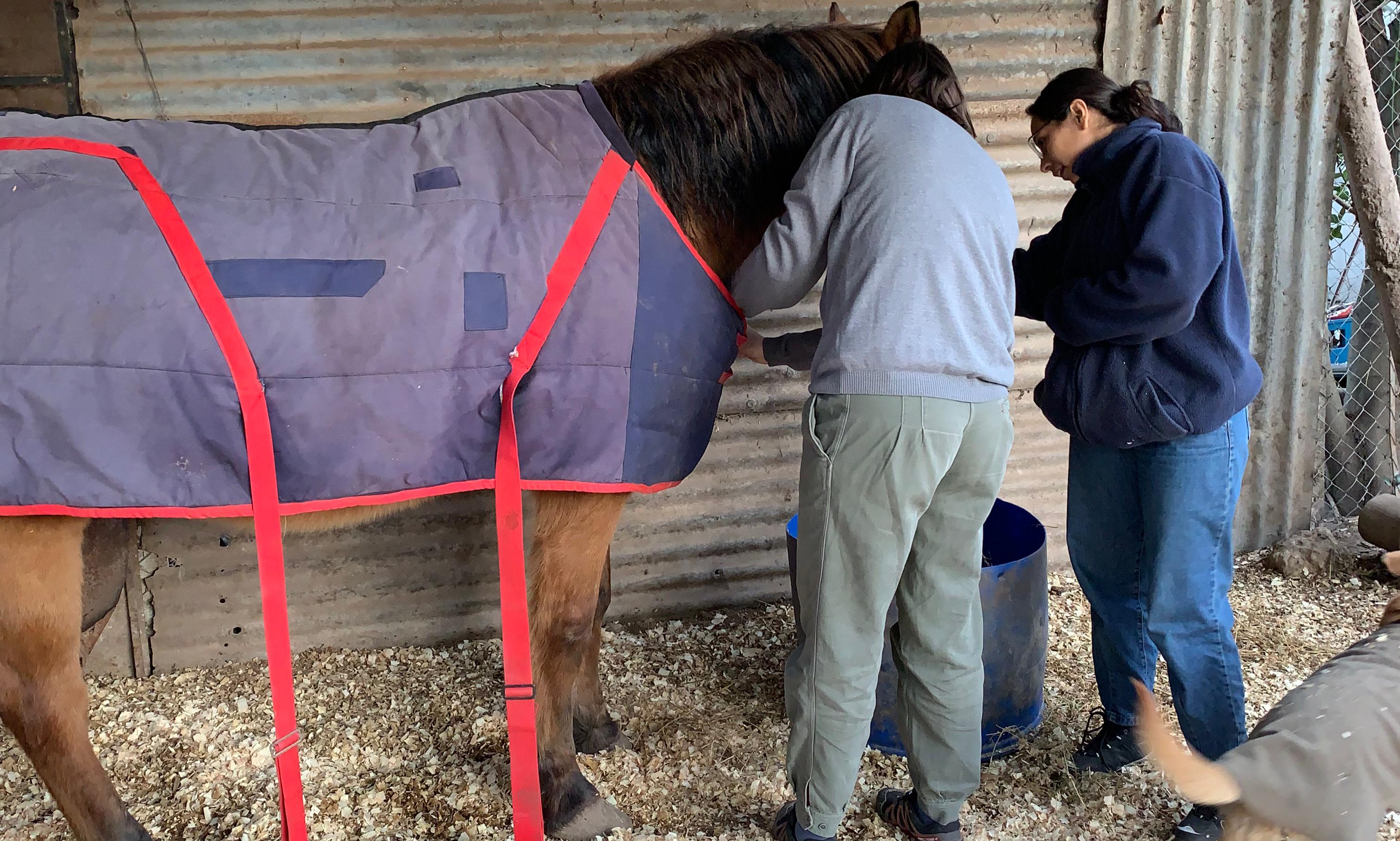Adaptación durante la pandemia