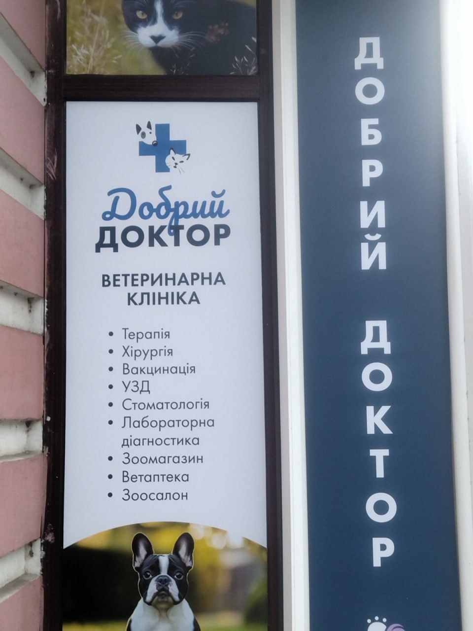 Фотографії з клініки «Добрий Доктор»