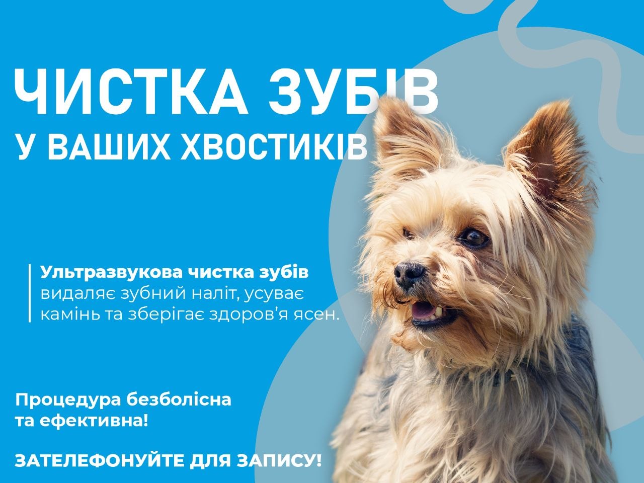 Щорічна вакцинація