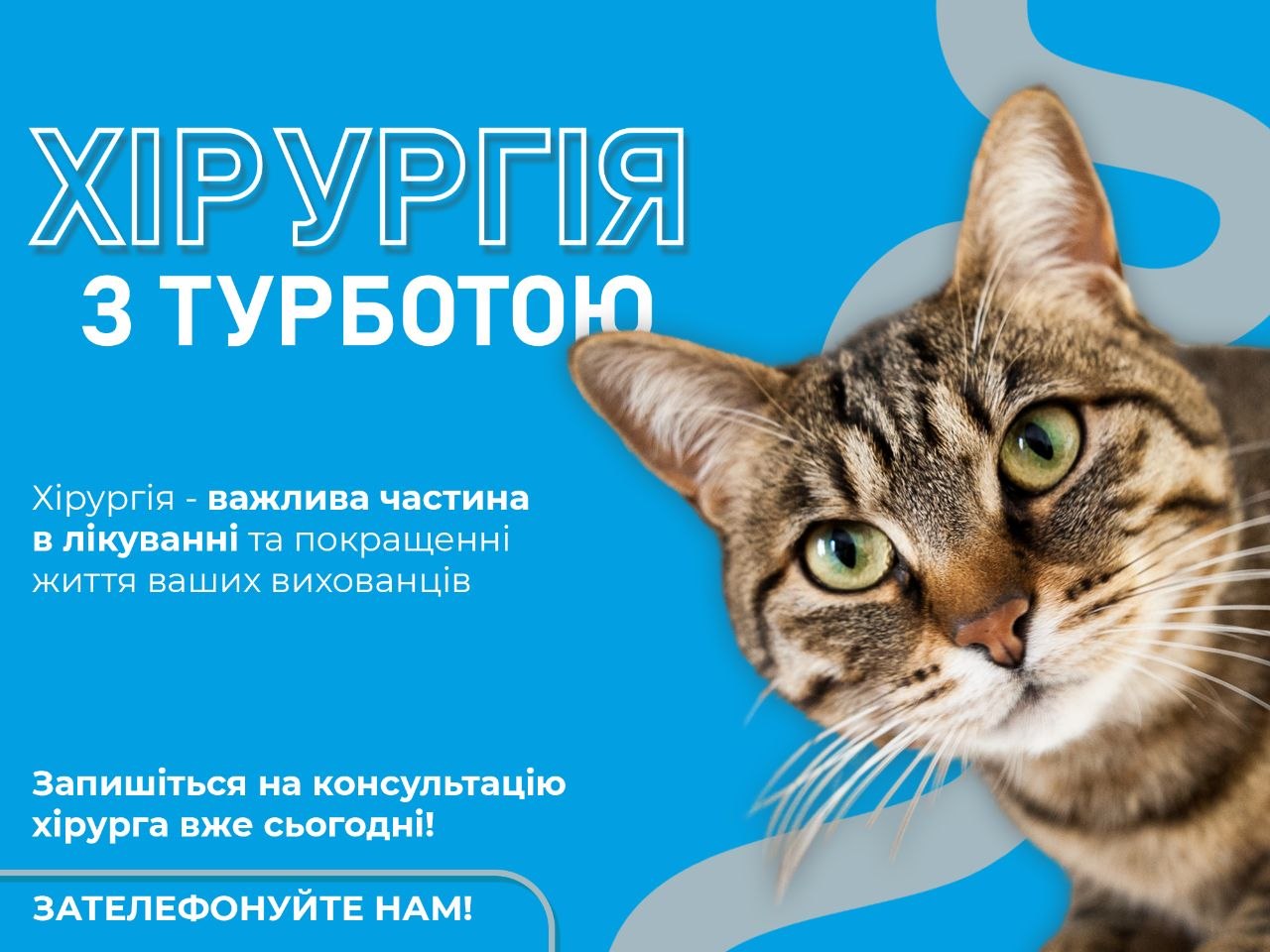 Чистка зубів у ваших хвостиків