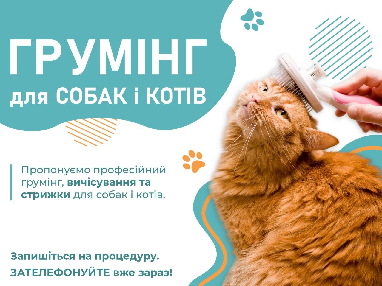 Хірургія з турботою