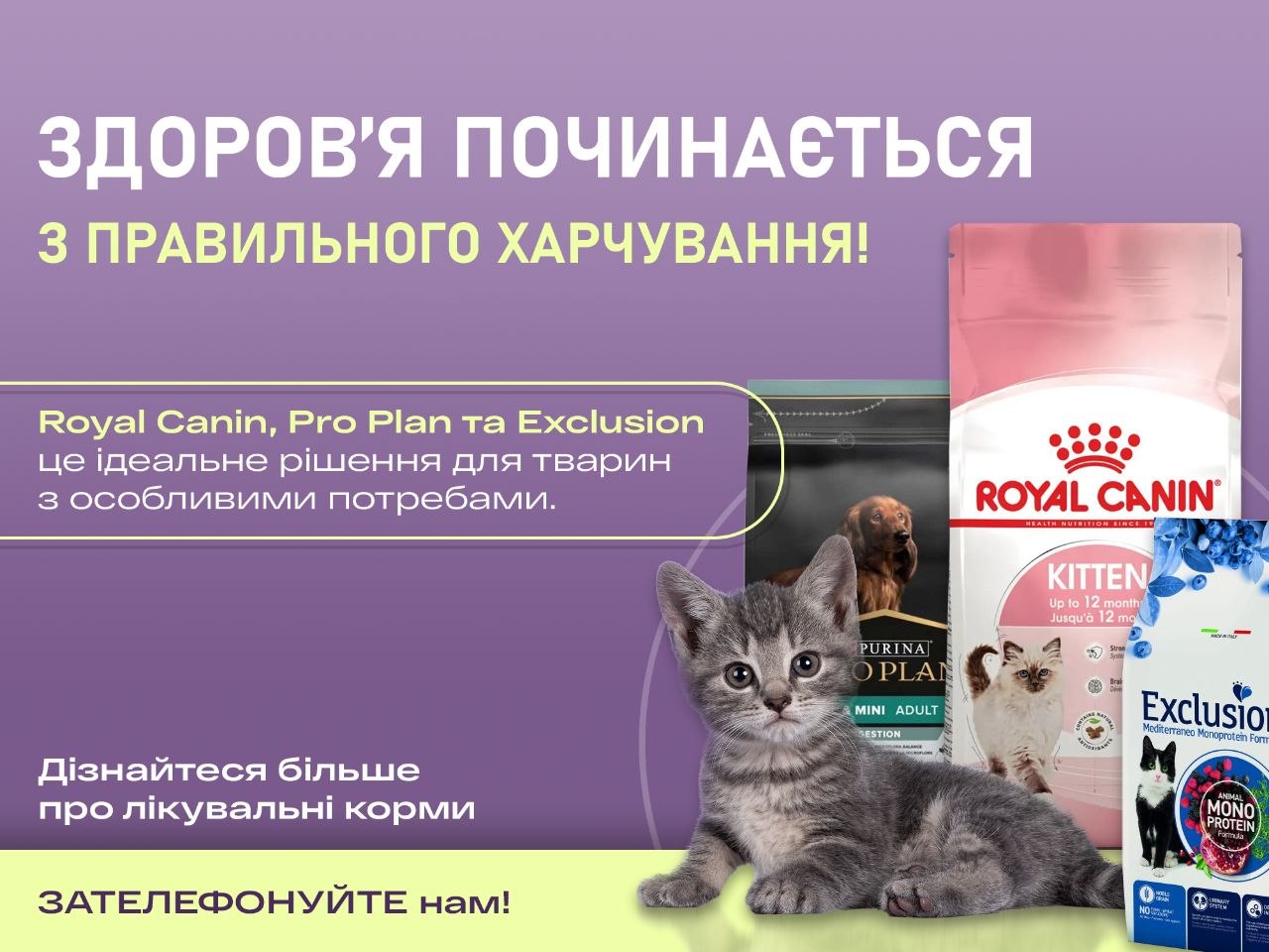 Грумінг для собак і котів