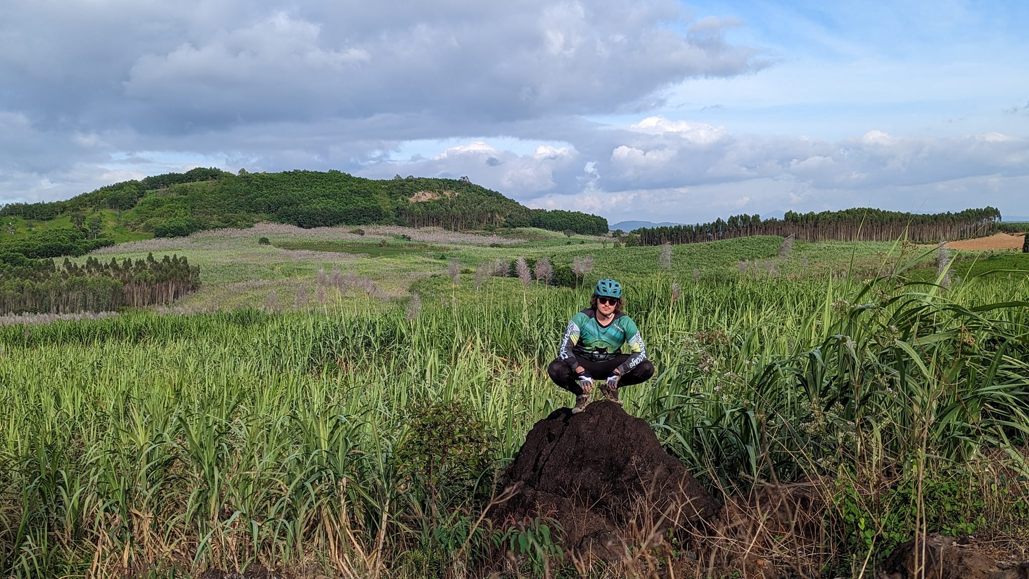 Contemplative Andrew
