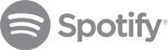 Gray Spotify Logo