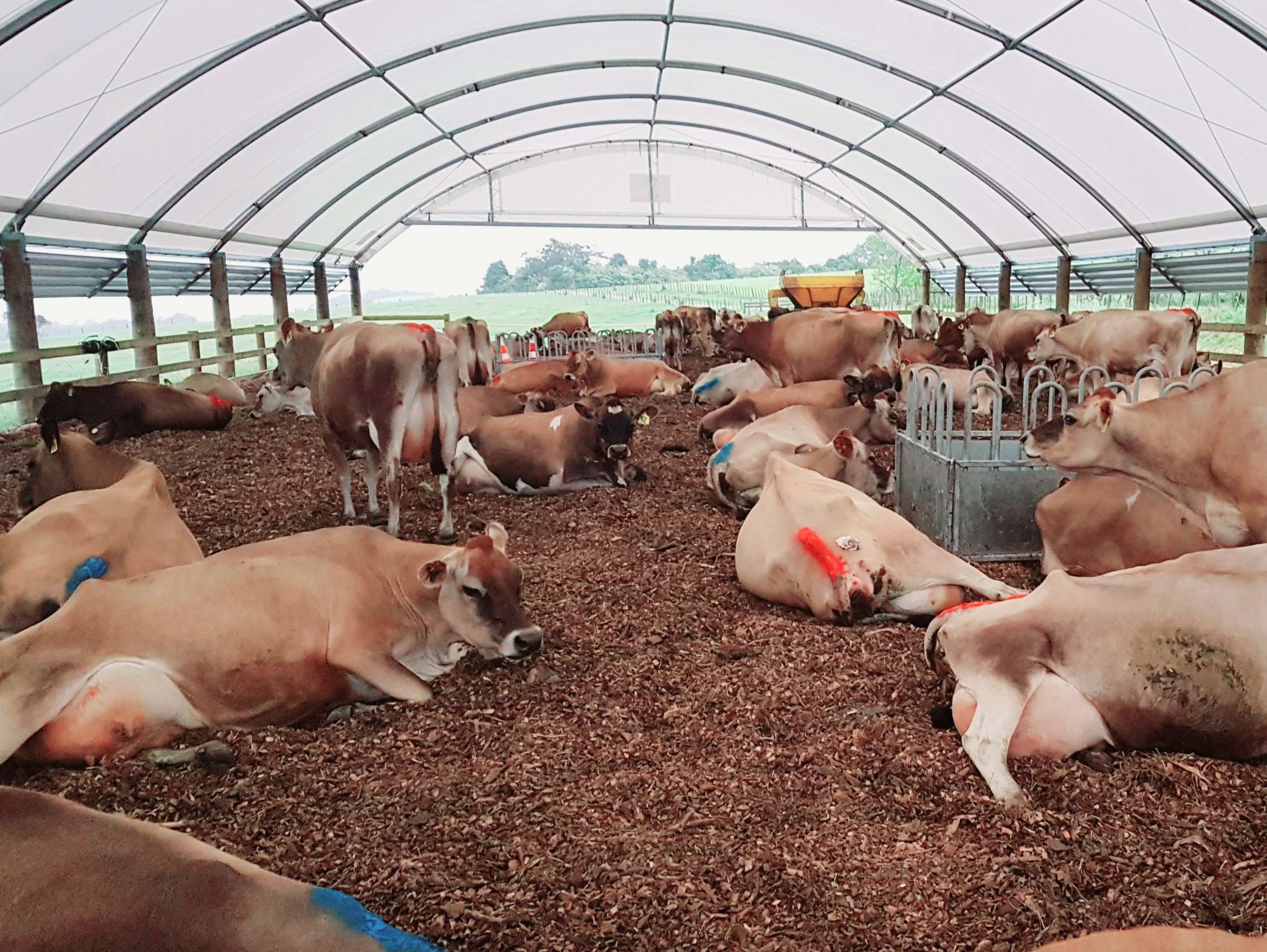 Staying Warm & Dry in the Rain - Wilco Farm Stores