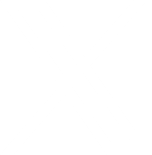 x logo