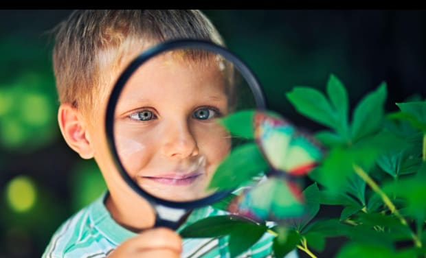 Life Science – The Story of Living Connections