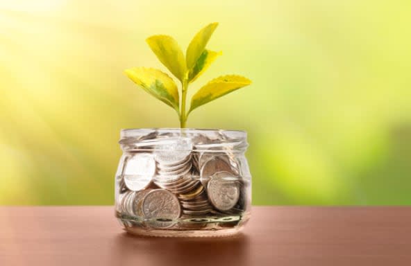 Slow Growth, Big Money: Why Consistency Builds a Successful Side Business