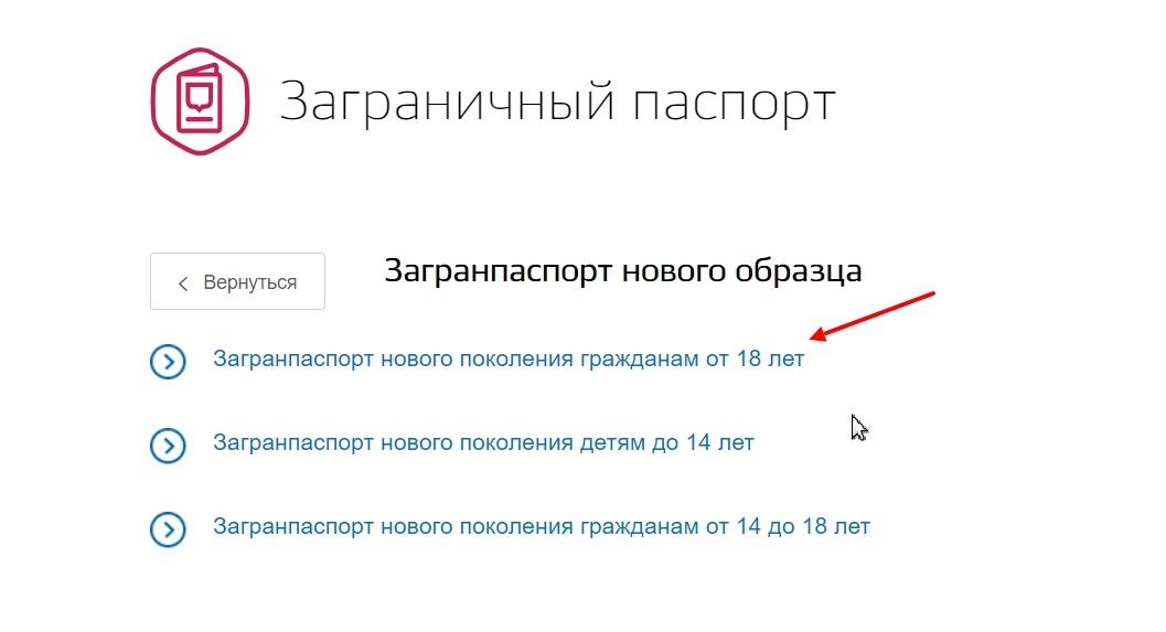 Как заказать через госуслуги загранпаспорт нового образца взрослому