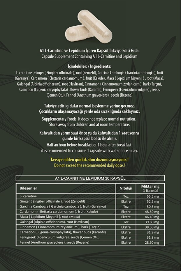 Hhs NEW A1 L-CARNTINE LEPDIUM 30 KAPSÜL BLİSTER 6