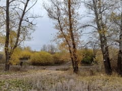 Стабилизация погоды в Оренбургской области в начале недели