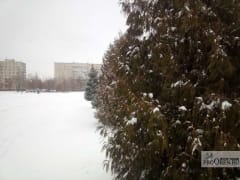 В ближайшие сутки на Оренбуржье налетит ветер