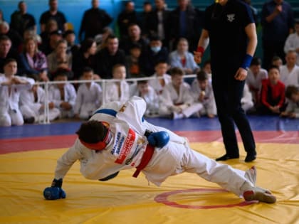 Турнир по рукопашному бою