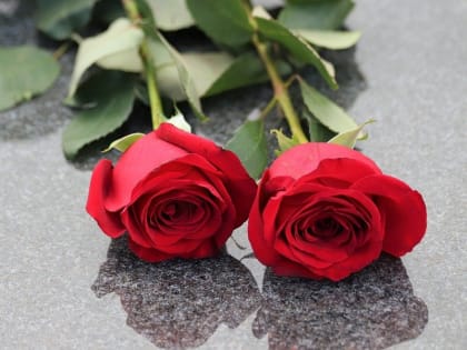 Соболезнуем