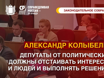 Александр Колыбельников: Депутаты от политических партий должны отстаивать интересы партии и людей и выполнять решения партии!