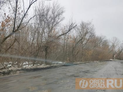 В Оренбурге планируют отремонтировать дорогу на дачи в Дубках