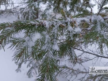 В Оренбуржье ожидается резкое похолодание