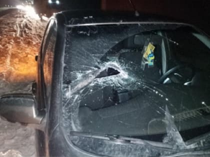 Железка в лобовик. На Самарской трассе пострадал пассажир «Датсуна»