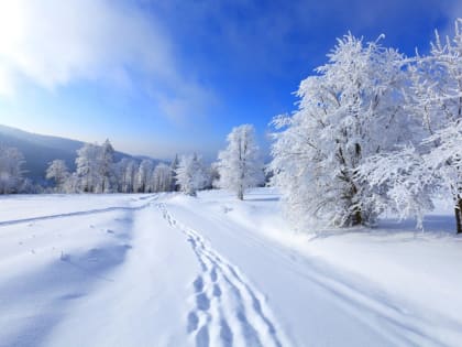 Оперативное предупреждение