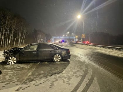 KIA в столбе. В ДТП на Нежинском шоссе погибли два пассажира