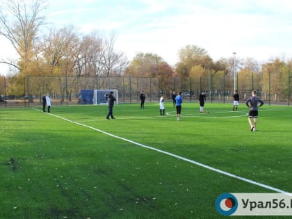 Ушу, гольф, хоккей на траве: Уроки физкультуры в школах России предлагают дополнить новыми модулями