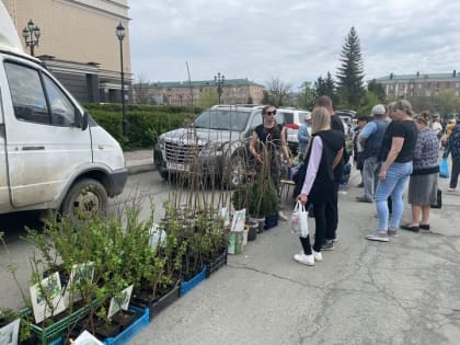 Орчан приглашают на традиционные ярмарки выходного дня