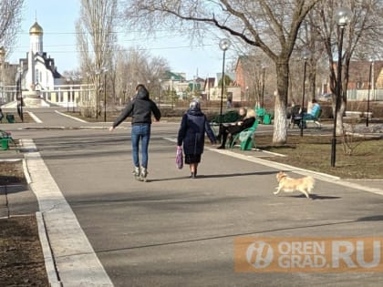 Оренбуржцам посоветовали не реагировать на сигнал «Внимание всем»