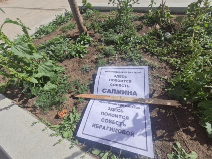 Мэрия: При реконструкции Советской у деревьев повредили до 50% корневой системы