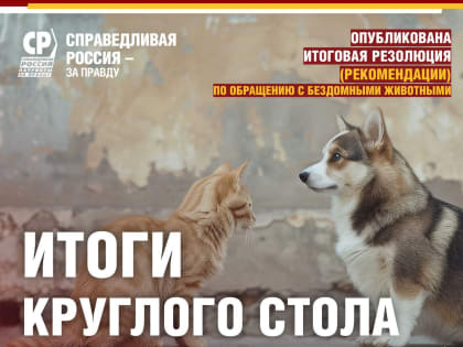 Опубликована итоговая резолюция Круглого стола по бездомным животным!