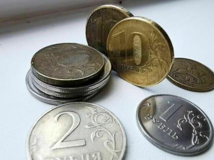 Типичный банкрот в России: кто они и сколько должны?