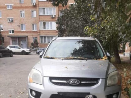 В Оренбурге свора собак погрызла припаркованную иномарку