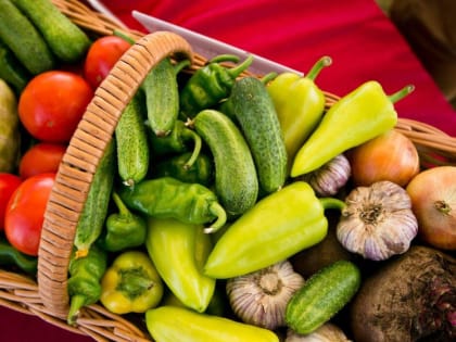 Врачи назвали оренбурженкам список продуктов для сохранения красоты и здоровья