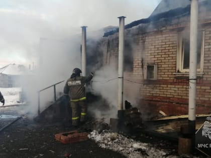 С начала года в Оренбуржье на пожарах погибли 9 человек