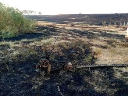 Суд Оренбуржья вынес приговор трактористу за пожар на пшеничном поле в 172 гектара
