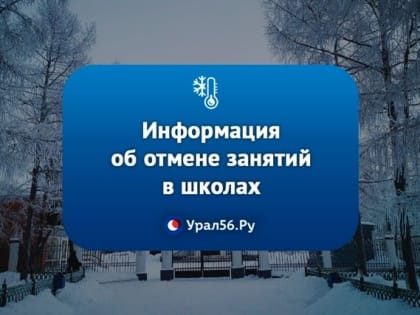 Неделя началась с небольшого мороза: Информация об отмене очных занятий в школах