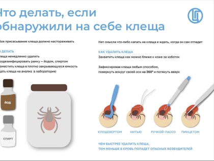 ИНФЕКЦИИ, ПЕРЕДАЮЩИЕСЯ ПРИ УКУСЕ КЛЕЩЕЙ