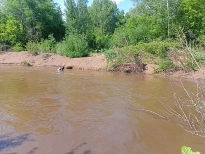 Из реки Самара в Оренбуржье достали тело мужчины
