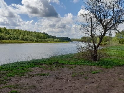 Между циклоном и антициклоном. В Оренбуржье будет тепло и ветрено