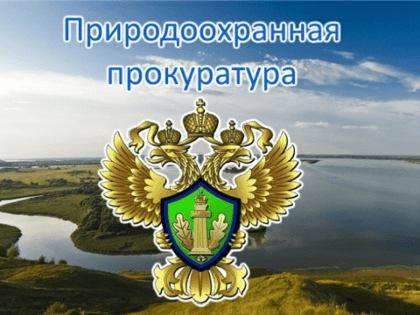 На приём к прокурору