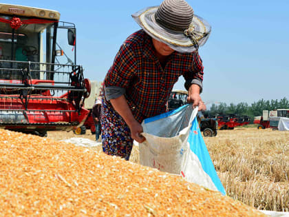 Московское «Черкизово» приобрело комбикормовый завод в Оренбуржье
