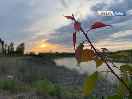 Дождь и гроза. В Оренбуржье в ночь на 7 июля температура опустится до +21 градуса